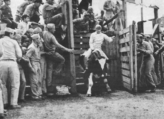 Second Division Rodeo allowed Marines a temporary diversion from storming beaches, although riding wild steers was no easy feat.